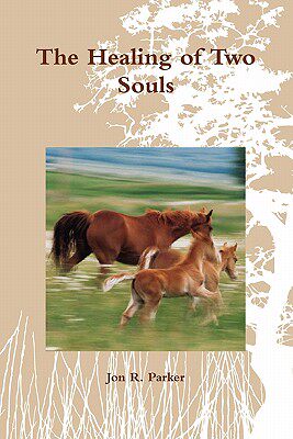 【预售】The Healing of Two Souls