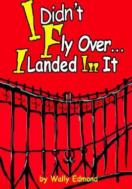 【预售】I Didn't Fly Over... I Landed in It