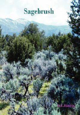 【预售】Sagebrush