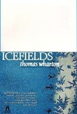 【预售】Icefields