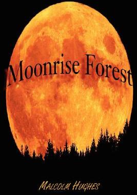 【预售】Moonrise Forest