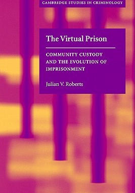 【预售】The Virtual Prison: Community Custody and the