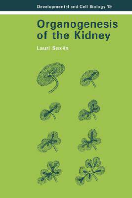 【预售】Organogenesis of the Kidney