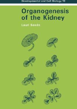 【预售】Organogenesis of the Kidney
