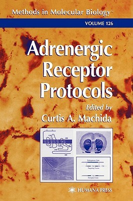 【预售】Adrenergic Receptor Protocols