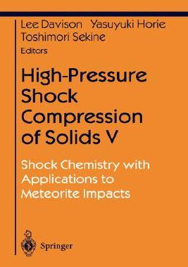 【预售】High-Pressure Shock Compression of Solids V: Shock