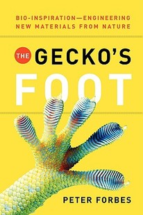 Gecko Engineered 预售 from Inspiration The Bio Foot