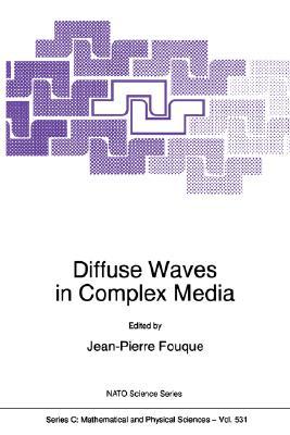 【预售】Diffuse Waves in Complex Media
