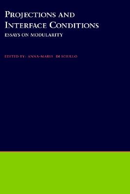 【预售】Projections and Interface Conditions: Essays on