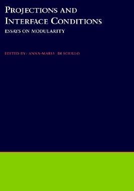 【预售】Projections and Interface Conditions: Essays on