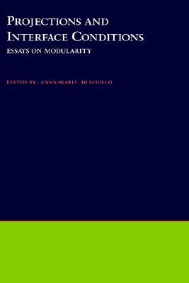 【预售】Projections and Interface Conditions: Essays on