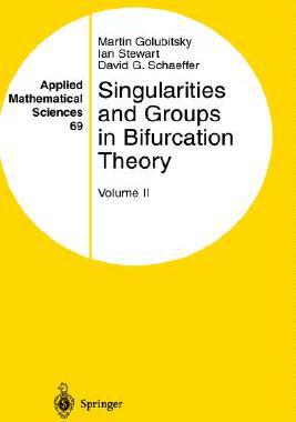 【预售】Singularities and Groups in Bifurcation Theory: