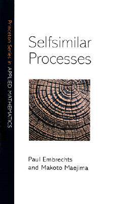 【预售】Selfsimilar Processes