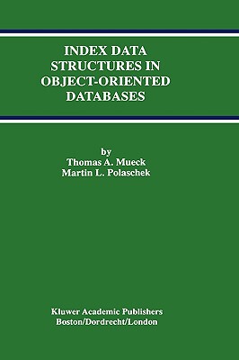 【预售】Index Data Structures in Object-Oriented Databases