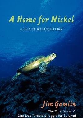 【预售】A Home for Nickel: A Sea Turtle's Story