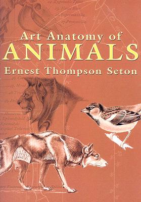 【预售】Art Anatomy of Animals