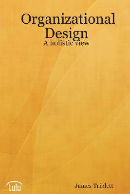【预售】Organizational Design: A Holistic View