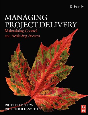 【预售】Managing Project Delivery: Maintaining Control and