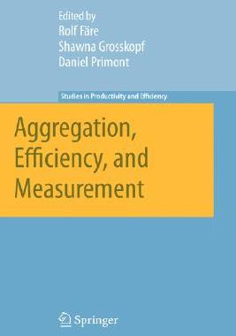 【预售】Aggregation, Efficiency, and Measurement