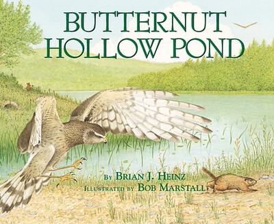 【预售】Butternut Hollow Pond