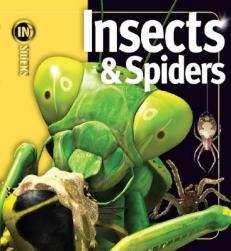 【预售】Insects & Spiders