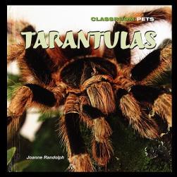 【预售】Tarantulas