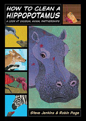 【预售】How to Clean a Hippopotamus: A Look at Unusual