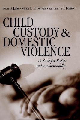 【预售】Child Custody and Domestic Violence: A Call for