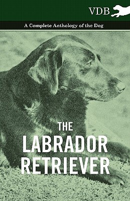 【预售】The Labrador Retriever - A Complete Anthology of the
