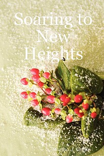 New Soaring Heights 预售