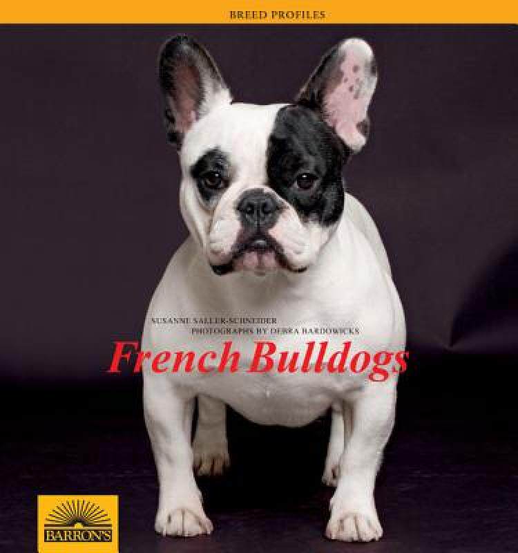 【预售】French Bulldogs