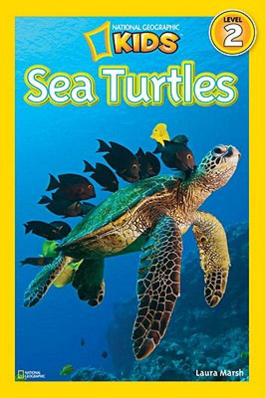 【预售】Sea Turtles