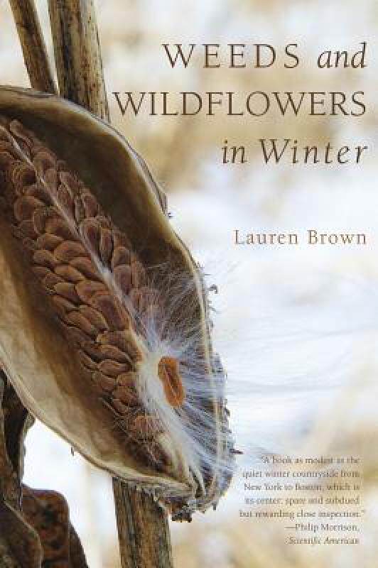 【预售】Weeds and Wildflowers in Winter