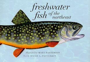 【预售】Freshwater Fish of the Northeast