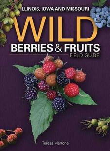 Berries Illinois 预售 Iowa Guide Wild Field Fruits