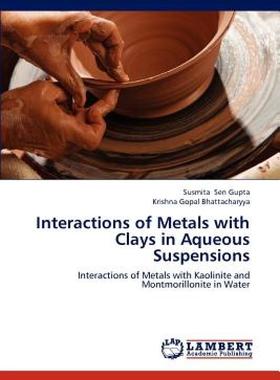 【预售】Interactions of Metals with Clays in Aqueous