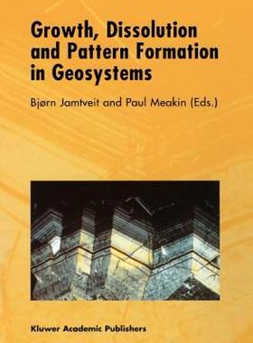【预售】Growth, Dissolution and Pattern Formation in