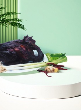 厂家直销皇冠信誉聊城铁公鸡纸包现做龙胜斋魏氏熏鸡山东特产