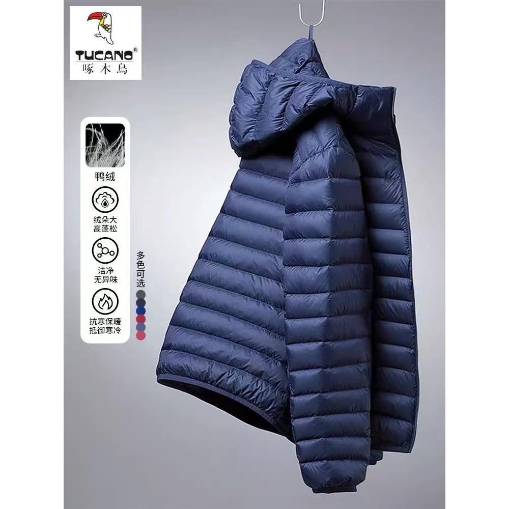 啄木鸟白鸭绒外套男冬季新款简约羽绒服休闲百搭保暖立领轻薄上衣