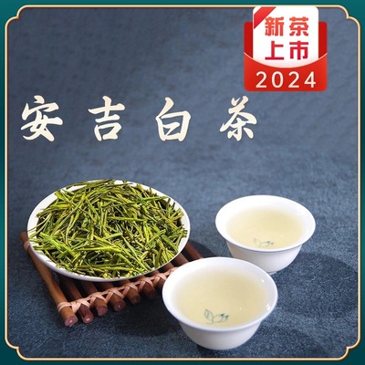 安吉白茶2024年新茶明前特级正宗