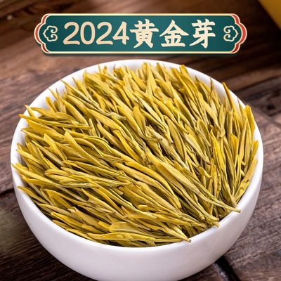 黄金芽茶叶正宗安吉2024特级新茶