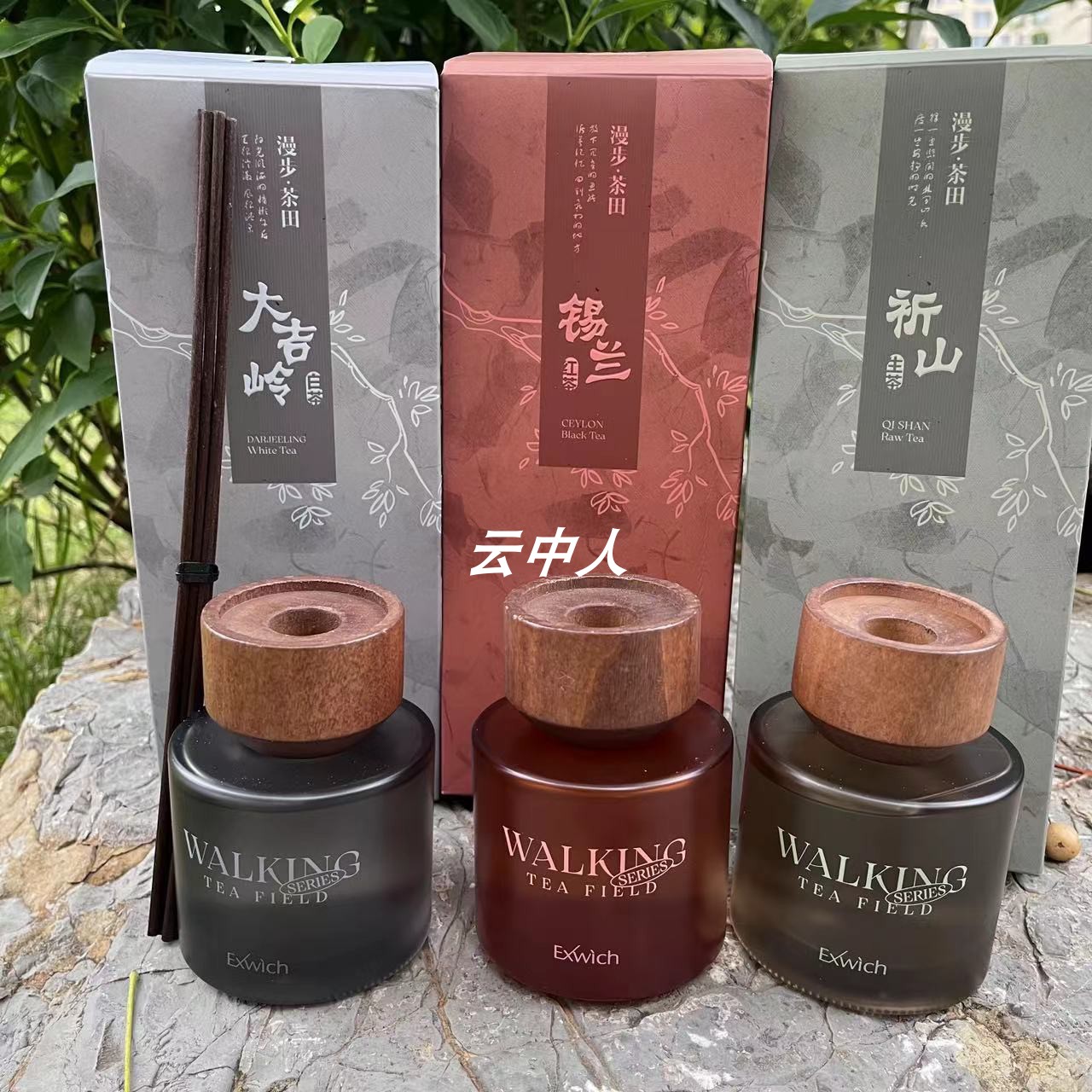 伊维斯漫步茶田系列香薰125ML大吉岭白茶红茶生茶室内无火香氛