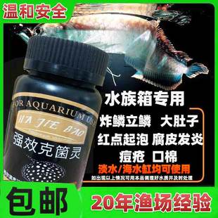 庆大素鱼用炸鳞片立鳞烂尾日本黄粉充血腹水白点水族锦鲤罗汉金鱼