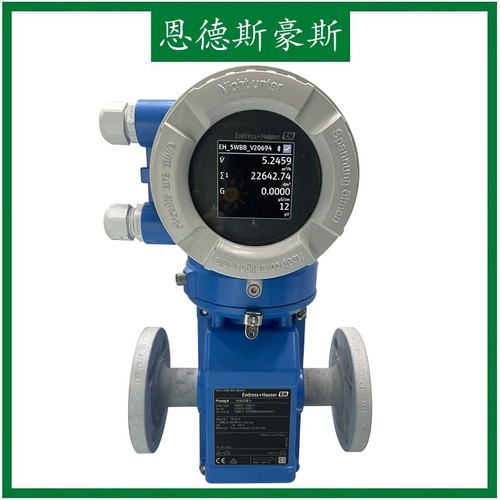 E+H聚氨酯内衬316L电极DN100现货