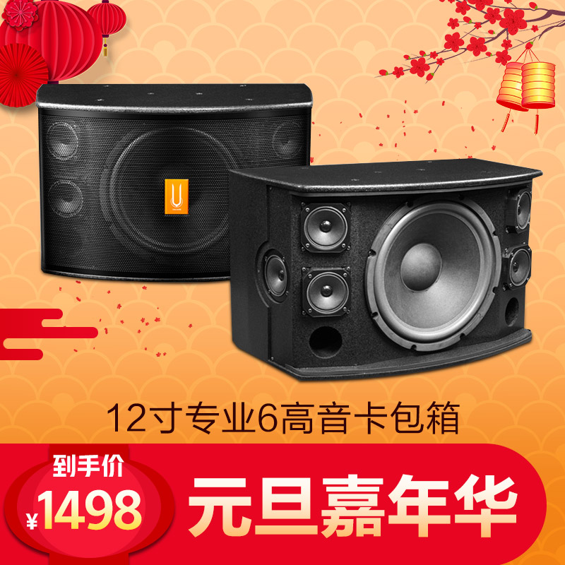 Yacare/ÑÅÇÅ K12¼ÒÍ¥ktv¿¨Àok¿¨°üÒôÏä12´çµÍÒôרҵ»áÒéÒôÏì/¶Ô