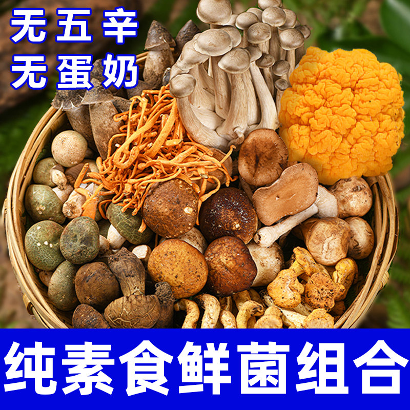 纯素食新鲜菌菇组合营养菌汤羊肚菌虫草花竹荪汤料云南特产在菌屋