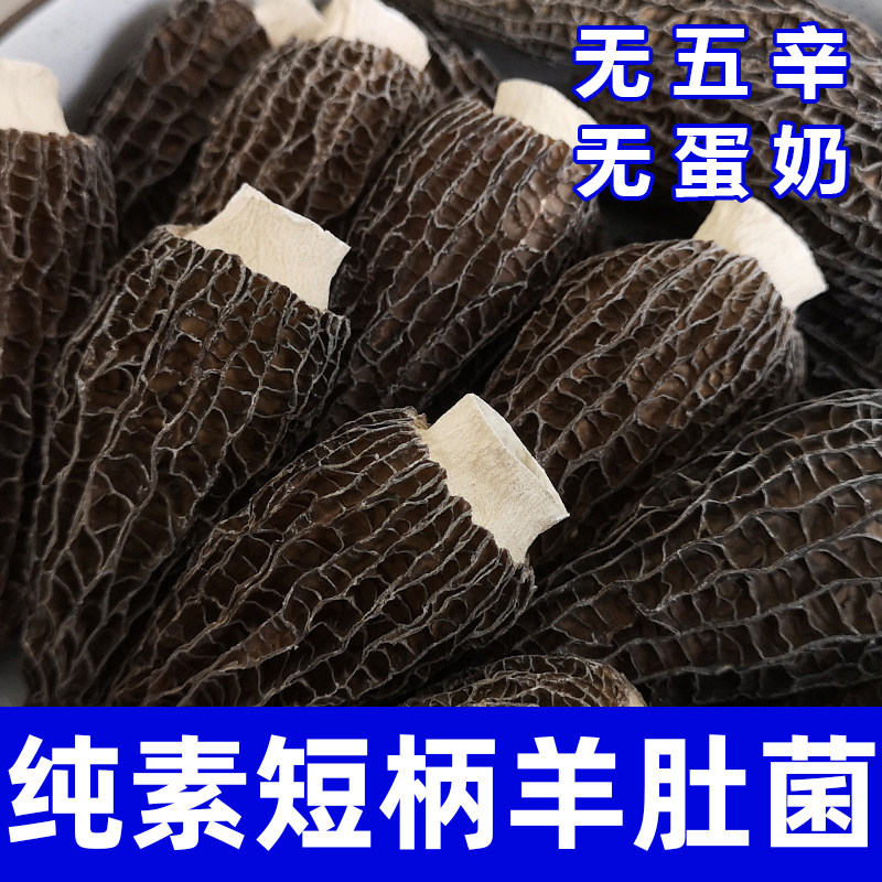 纯素食短柄羊肚菌无五辛干货煲汤火锅健康营养美味短柄菌菇在菌屋