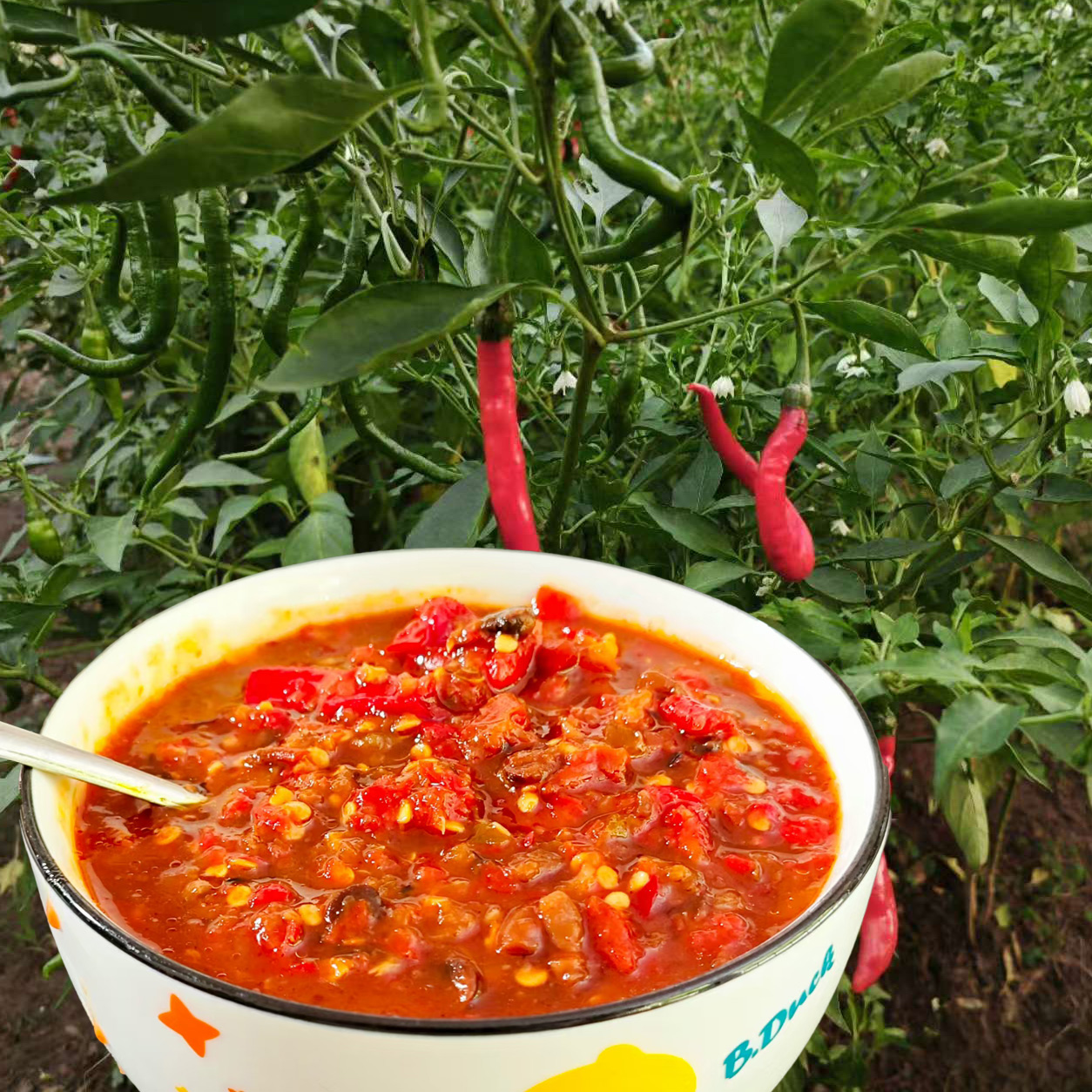 四川辣椒酱农家豆瓣酱无油无添加自制辣酱下饭酱达州传统胡豆瓣酱