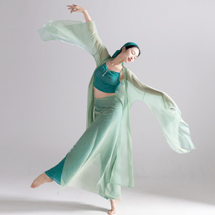 前世今生古典舞蹈服飘逸青蛇身韵纱衣练功服舞服套装中国舞演出服