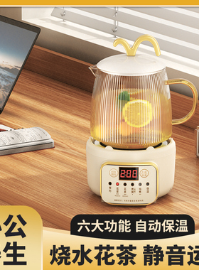 新款煮茶器一人用迷你养生壶小型办公室煮茶壶家用玻璃烧水快煮壶